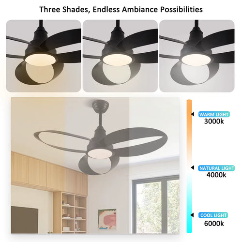 52 Inch Sculptural Modern Ceiling Fan with Light and Remote Control 3 CCT Manufacturer